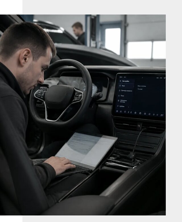 Русификация автомобилей BYD под ключ для всех моделей в Долгопрудном