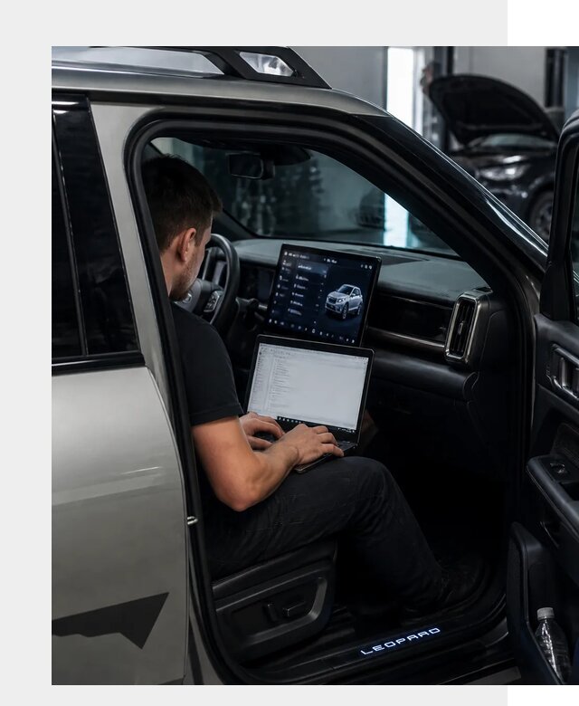 Русификация BYD Leopard 3 в Долгопрудном по цене от 20191 р. | ФастМобиль-Длг